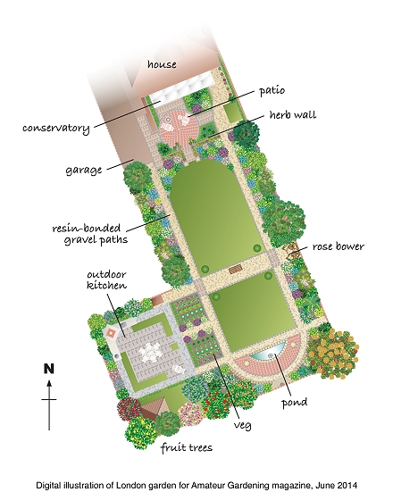 Digital illustration for Amateur Gardening magazine by Elizabeth Sporne